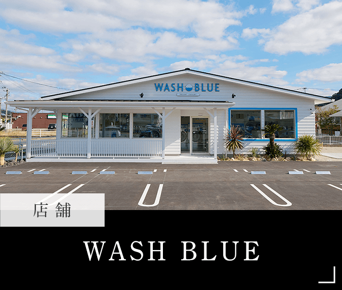 代表事例_WASH BLUE