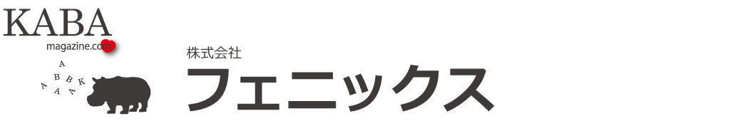 金沢市の中古住宅・新築分譲のことなら不動産のフェニックス