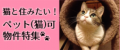 猫と住みたい！ペット（猫）可物件特集