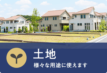土地