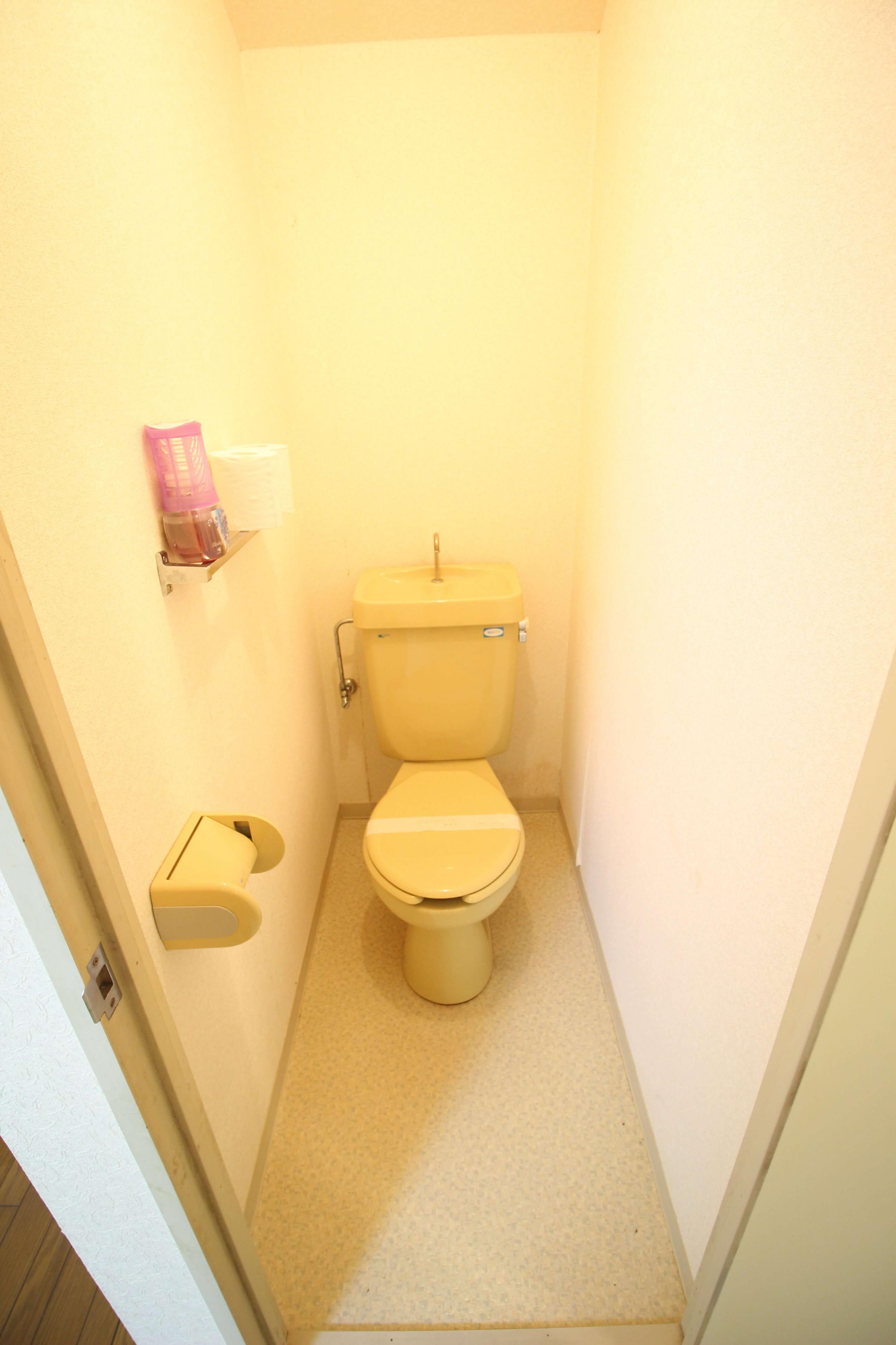 ゴールドフィールドトイレ写真