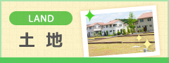 土地