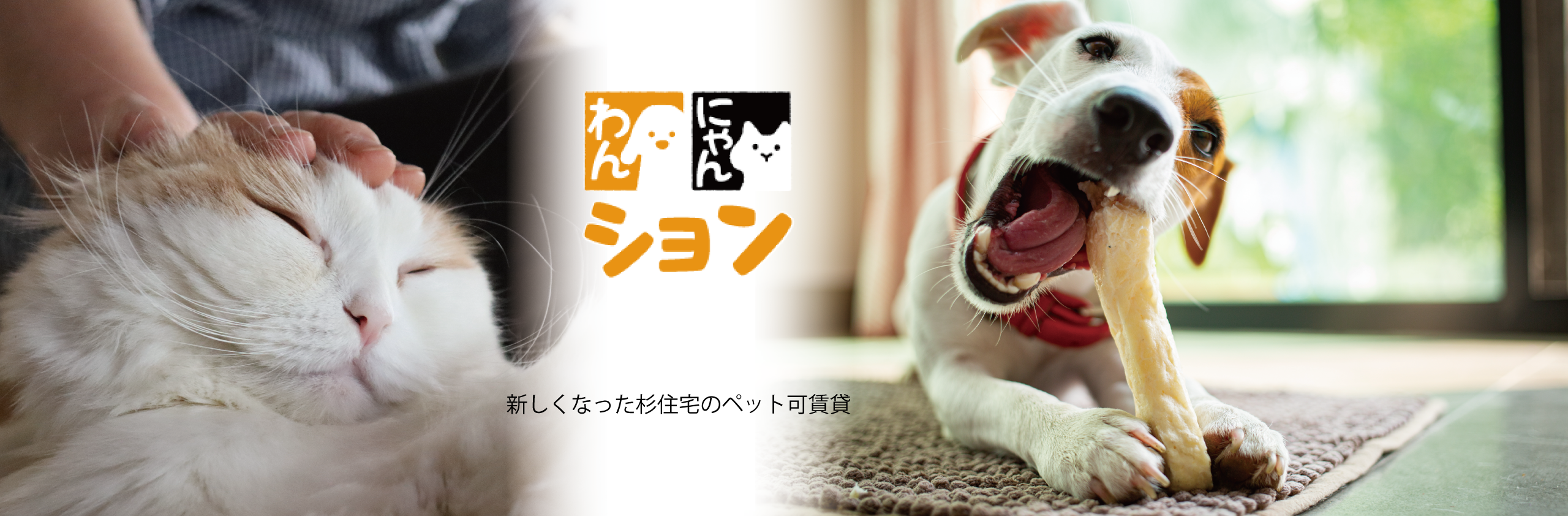 その他・その他コンテンツ・わんにゃんション